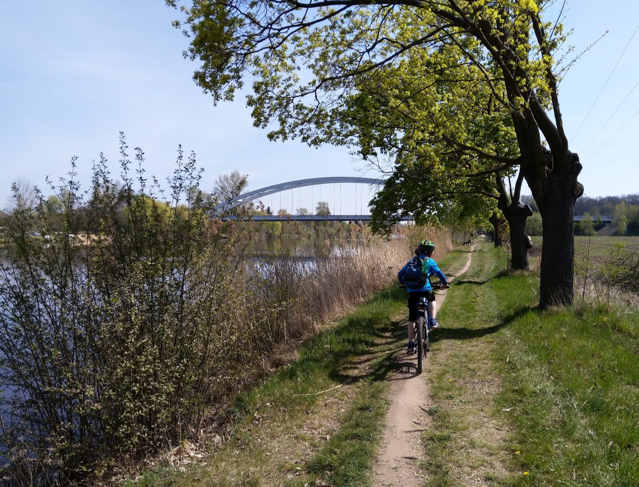 Cyklotrasa č. 7: Ze Zelenče do Poděbrad přes Sadskou (46 km)