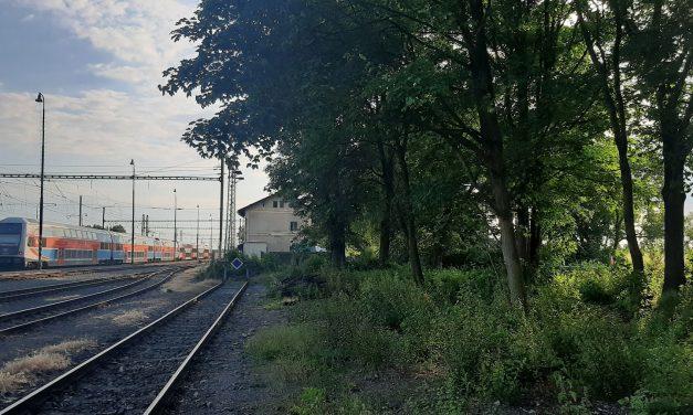 Správa železnic: Rozhodnutí o kácení stromů ve Mstěticích není definitivní